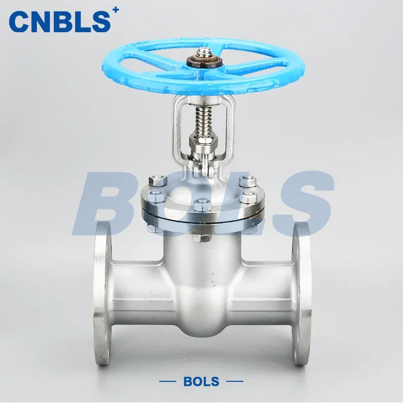 Valvole a saracinesca in acciaio inossidabile