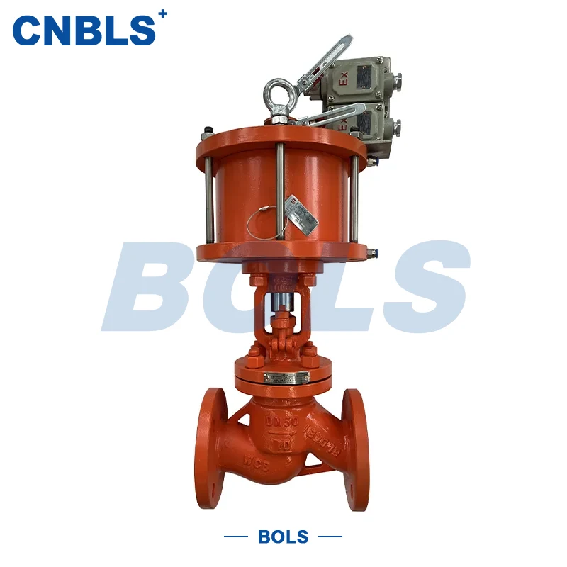 Valvole a saracinesca a stantuffo in acciaio inossidabile